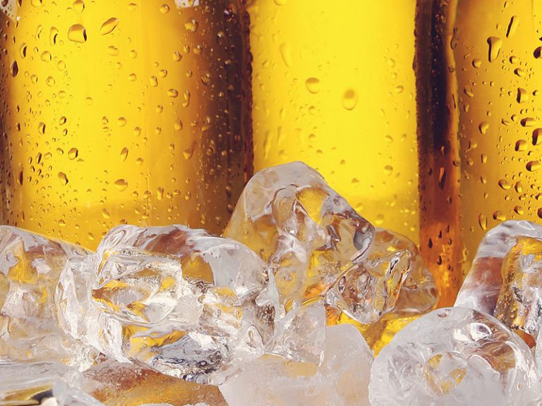 Etiam commodo convallis